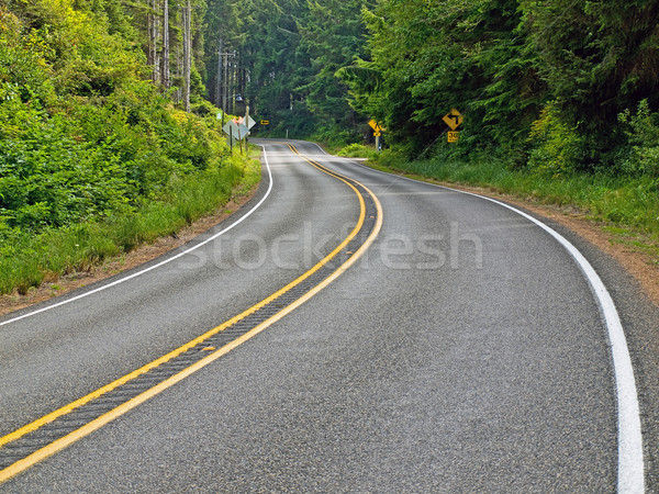 Curved Two Lane Country Road Winding Through a Forest Stock photo © Frankljr