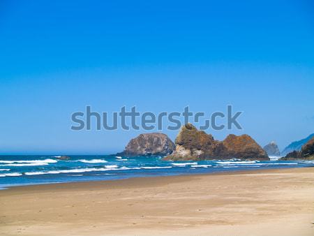 Rugged Rocky Arcadia Beach on the Oregon Coast Stock photo © Frankljr