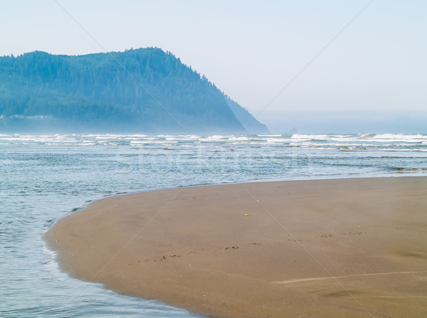 Ocean Waves on the Shore on a Clear, Sunny Day  Stock photo © Frankljr