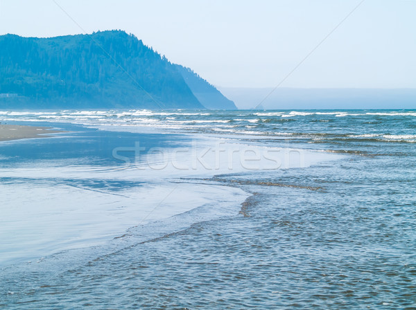 Ocean Waves on the Shore on a Clear, Sunny Day  Stock photo © Frankljr