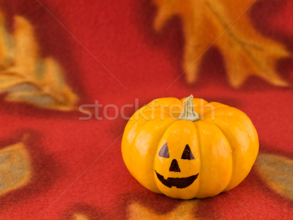 Mini Pumpkins with Funny Faces on a Red Autumn Cloth Background Stock photo © Frankljr