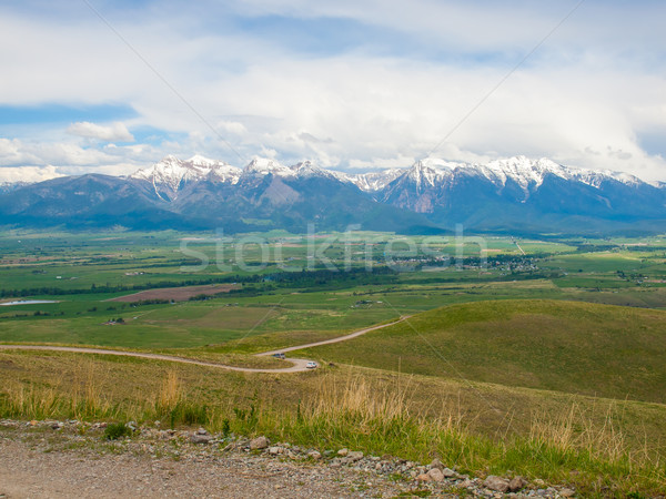 Berg Tal Ansicht Bison Montana USA Stock foto © Frankljr