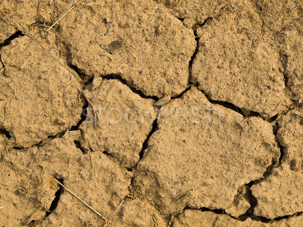 Parched and Cracked Dry Ground  Stock photo © Frankljr