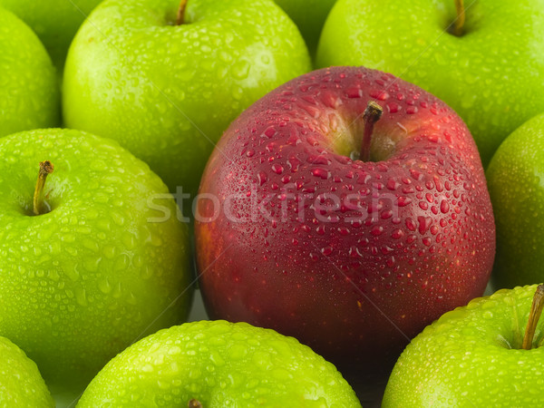 Background of green apples with a single Red Delicious Stock photo © Frankljr