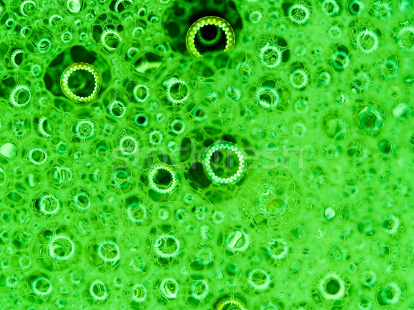мыльные пузыри Размышления макроса зеленый Сток-фото © Frankljr