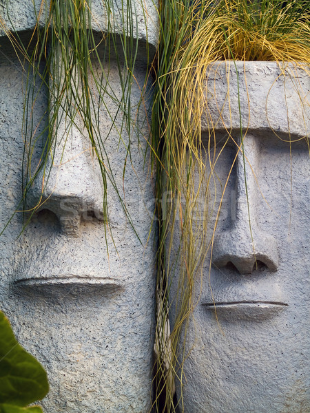 Isola di Pasqua lungo giallo erba capelli faccia Foto d'archivio © Frankljr