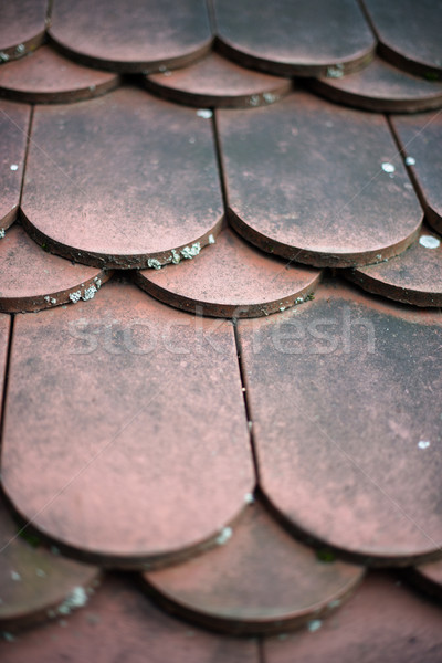 Oude huis Rood dak tegels detail verweerde Stockfoto © franky242