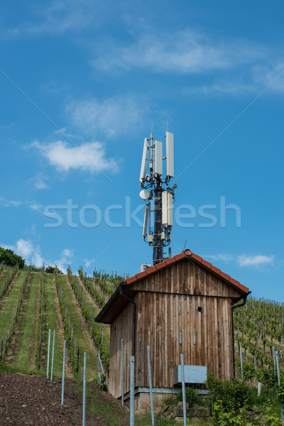 Telecommunication mast in a vineyard Stock photo © franky242