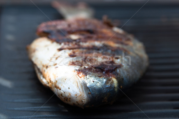 Gilthead Seabream on BBQ Stock photo © franky242