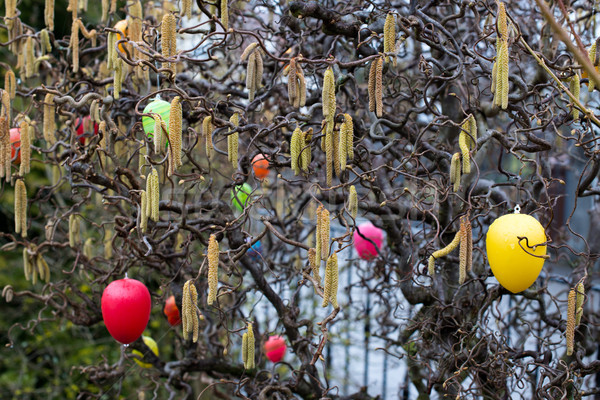 Stockfoto: Pasen · boom · kleurrijk · paaseieren · ingericht