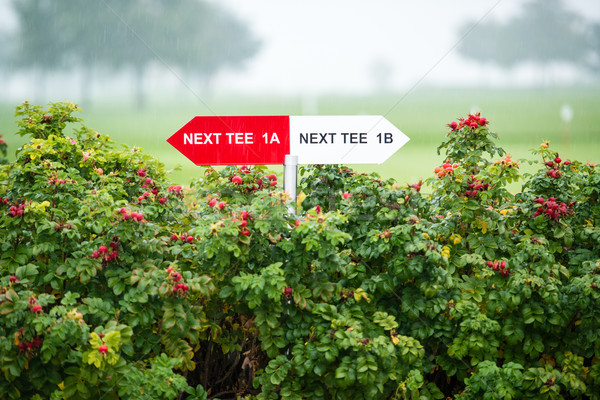 Next tee sign Stock photo © franky242