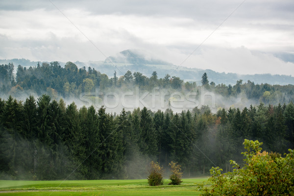 Herbst Golfplatz Nebel sunrise Sommer Bereich Stock foto © franky242