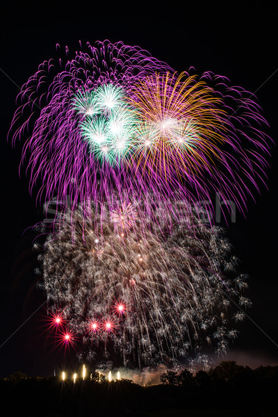 Schönen farbenreich Feuerwerk professionelle Nachthimmel Bäume Stock foto © franky242