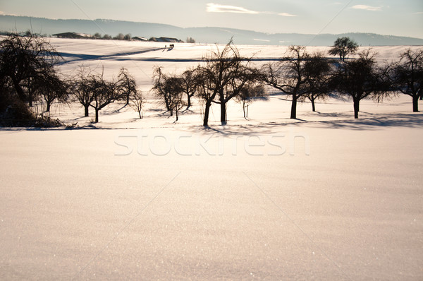 Marche poudre neige groupe jeunes fraîches [[stock_photo]] © franky242