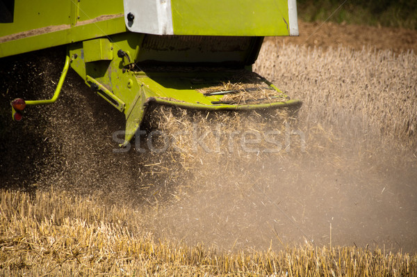 Combine harvesting corn Stock photo © franky242