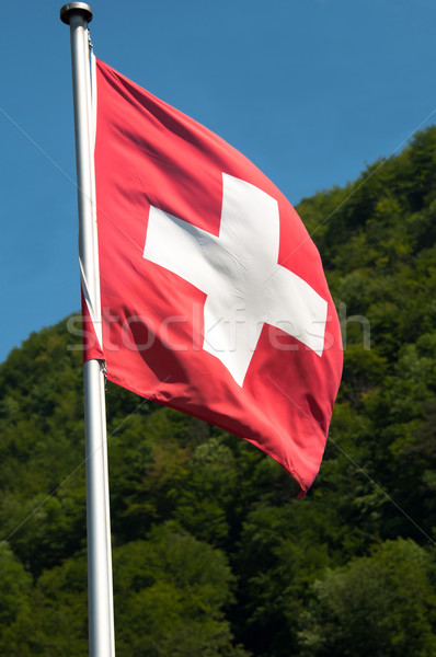 Zászló kilátás Svájc vidék zöld hegyek Stock fotó © franky242