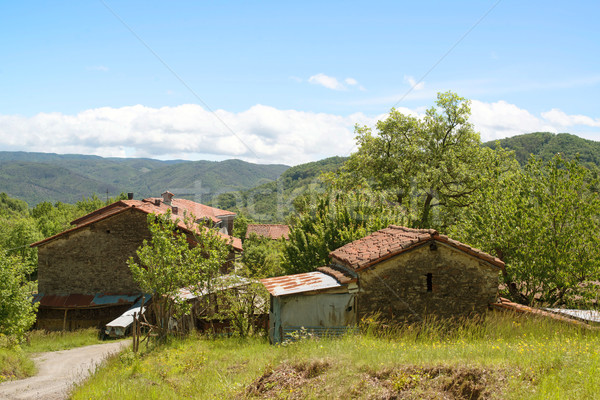 öreg farm Olaszország zárt Kairó nap Stock fotó © franky242