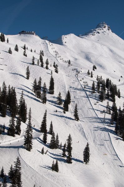 Snow covered ski piste Stock photo © franky242