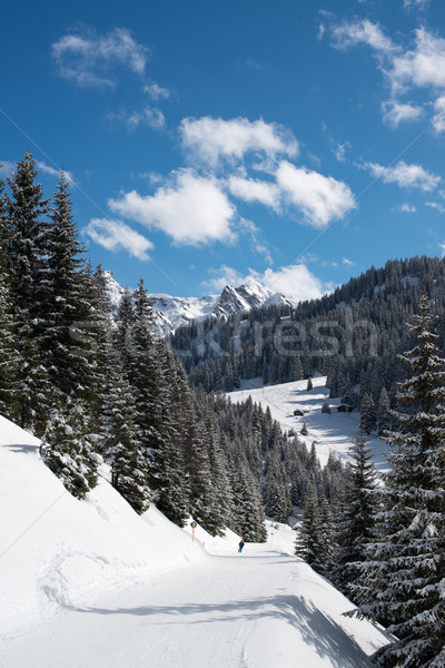 Skifahren Tal Ski Resort Himmel Sport Stock foto © franky242