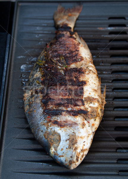 Gilthead Seabream on BBQ Stock photo © franky242