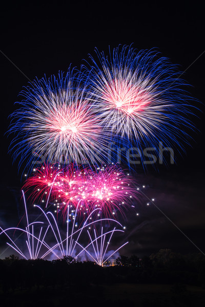 Belle coloré feux d'artifice professionnels ciel de la nuit arbres [[stock_photo]] © franky242