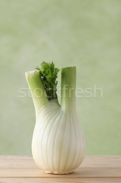 Raw Fresh Fennel Bulb on Wood Plank Table with Light Green Backg Stock photo © frannyanne