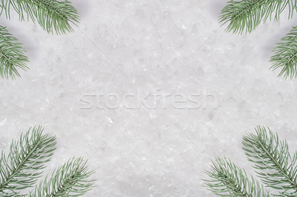Christmas Tree Fronds on Snow Stock photo © frannyanne