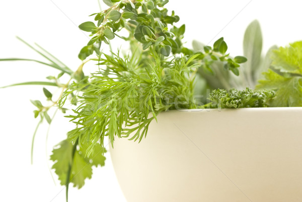 Fresh Herbs Closeup Rframe Stock photo © frannyanne