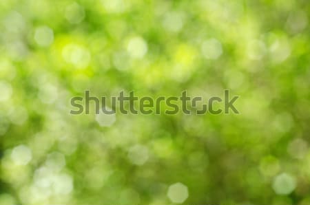 Zöld citromsárga bokeh puha homályos pázsit Stock fotó © frannyanne