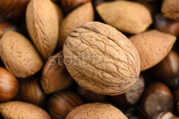 Mixed Nuts shot from Above Stock photo © frannyanne