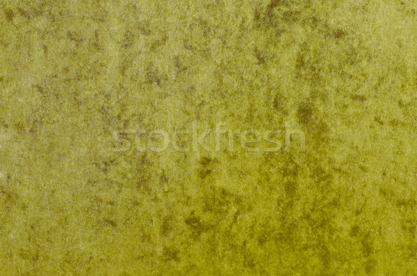 Marbled Green Paper Texture Stock photo © frannyanne