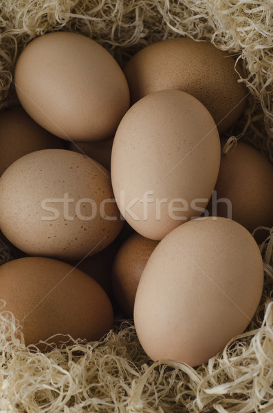 Brown Eggs Grouped Stock photo © frannyanne