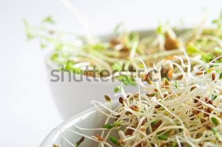Beansprout Bowls Close Up Stock photo © frannyanne