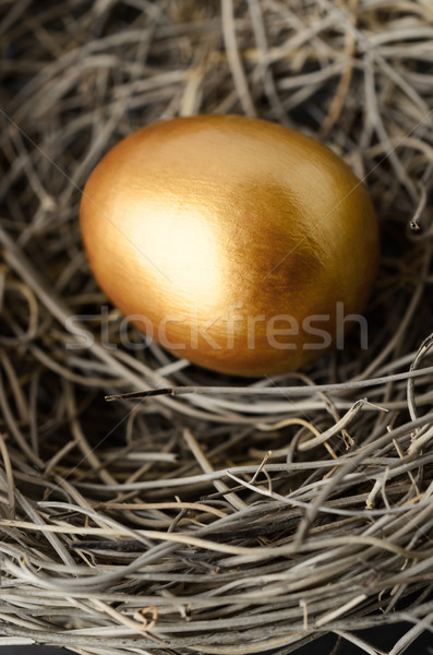 Stock photo: One Single Gold Painted Egg in Bird's Nest