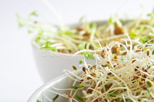 Beansprout Bowls Close Ups Stock photo © frannyanne