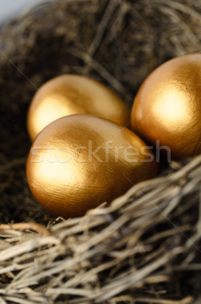 Gold Eier Nest drei gemalt Stock foto © frannyanne