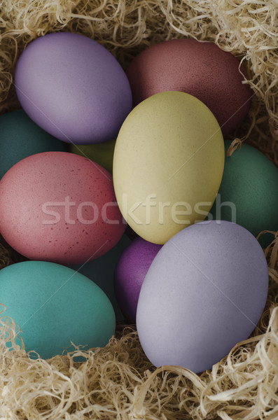 Foto stock: Pintado · huevos · de · Pascua · vista · secado · hierba