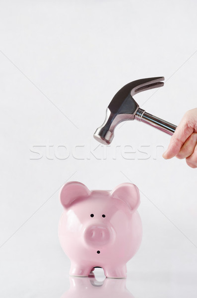 Hamer spaarvarken hand boven roze Stockfoto © frannyanne