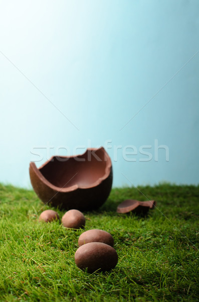 Chocolate Easter Eggs on Grass with Blue Sky Stock photo © frannyanne