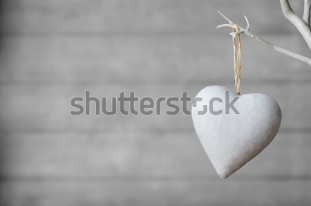 White Heart Hanging from Tree on Wood Background Stock photo © frannyanne