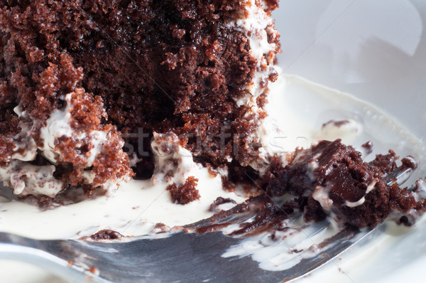 Teilweise Schokoladenkuchen Makro Dessert Double Stock foto © frannyanne