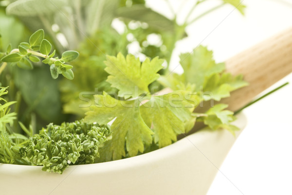 Herbs with Pestle and Mortar Closeup Lframe Stock photo © frannyanne