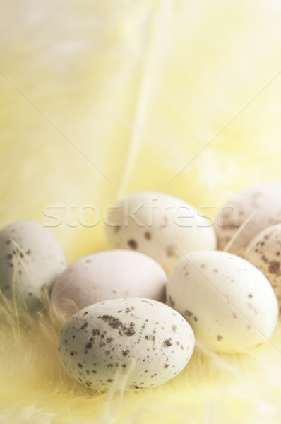 Speckled Easter Egg Sweets on Soft Yellow Feather Stock photo © frannyanne