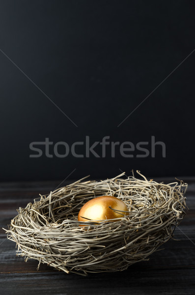 One Single Gold Egg in Bird's Nest on Wood with Black Background Stock photo © frannyanne
