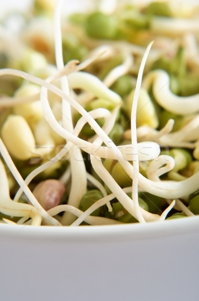 Mung Beansprouts Close Up Stock photo © frannyanne