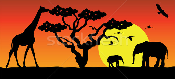 vector giraffe and elephants in africa Stock photo © freesoulproduction