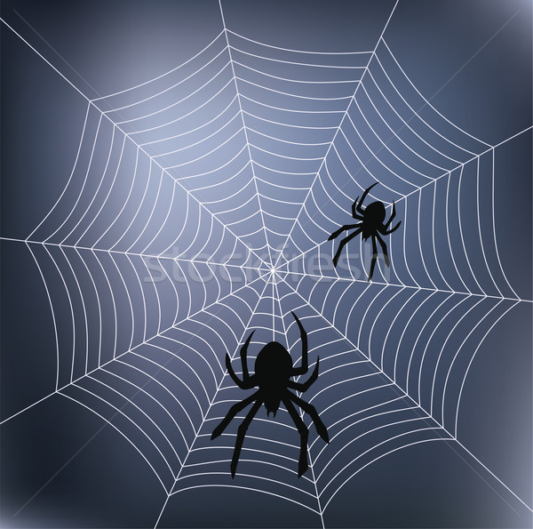 vector spiders and web Stock photo © freesoulproduction