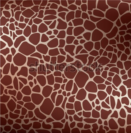 Vektor színes zsiráf bőr textúrák szett Stock fotó © freesoulproduction