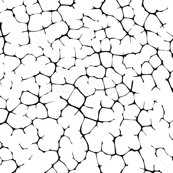 ベクトル ひびの入った テクスチャ 壁 地球 黒白 ストックフォト © freesoulproduction