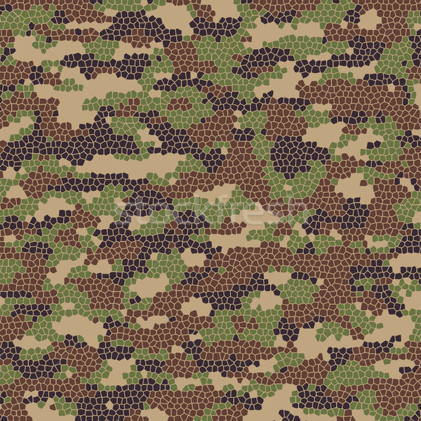 vector camouflage pattern Stock photo © freesoulproduction